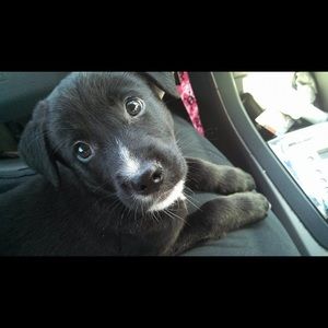 Meet your Posher, Tina